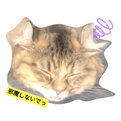 kayo_20191014153251