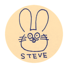 rabbit steve