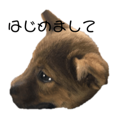 Omame_20191014155614