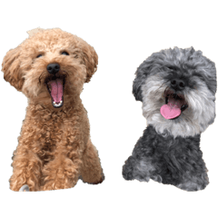 kazuki_20191014162833