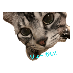 yk_20191014172325