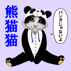 熊猫猫（パンダじゃないよ）