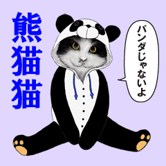 熊猫猫 パンダじゃないよ Line スタンプ Line Store 熊猫猫 パンダじゃないよ Line スタンプ Line Store
