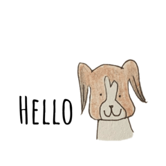 Papillon's Chiro