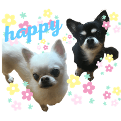 hikaru_20190924222225