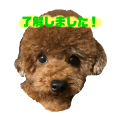 ひかるくん スタンプ
