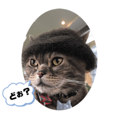 Tommy_20190928171536