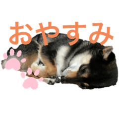 sak_20190926200244