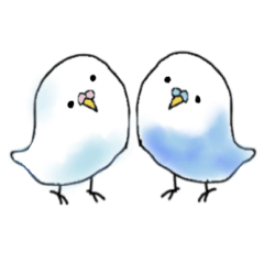 parakeets friends