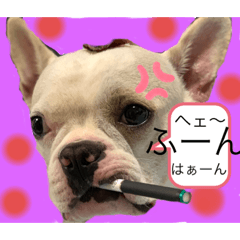 nishi hime