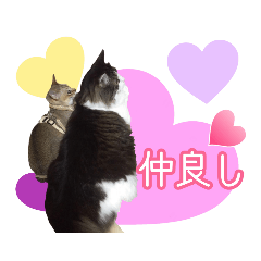 mamedaifuku_20191001203440