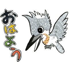 Crested Kingfisher Yama-chanII