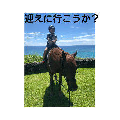 akiraralife
