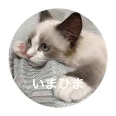 ebi_027