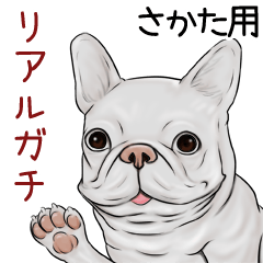 Sakata Real Gachi Pug & Bulldog