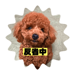 Ruru stamps, dog stamps, cute stamps
