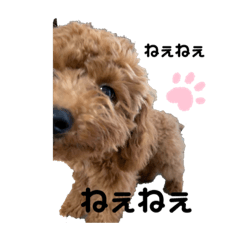 My name is Reo.s