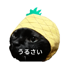 hbd aoi