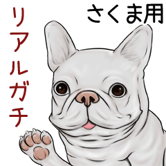Sakuma Real Gachi Pug & Bulldog