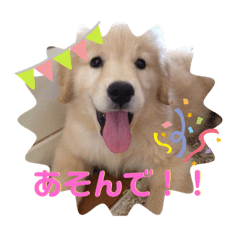 nanana_20190929211522