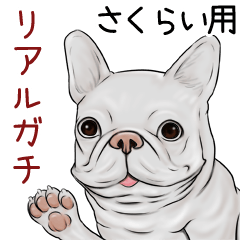Sakurai Real Gachi Pug & Bulldog