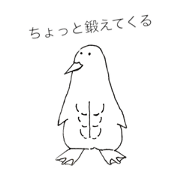 SIXPACK ANIMALS_20190930075853