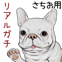Sachio Real Gachi Pug & Bulldog