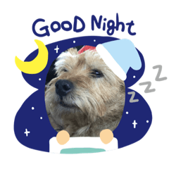 Mimmi cute dog