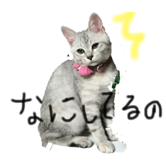 megumi_20190929113527