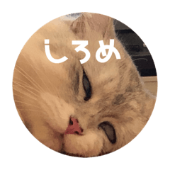 REI_20190927015515