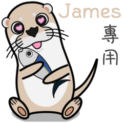 James special name sticker