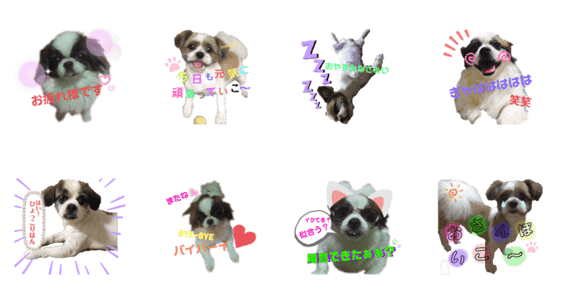 愛犬の仲良し挨拶 Lineクリエイターズスタンプ Stamplist