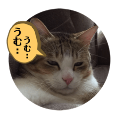 maron_20190927115633