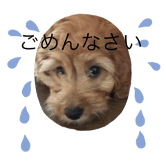 chi_20190926225158
