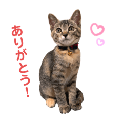 kao_20190927070051