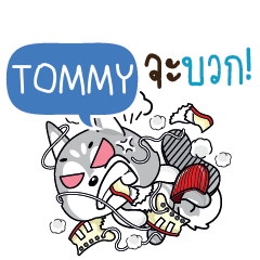TOMMY Clingy Husky e