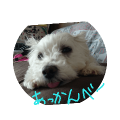 saya_20191001232310