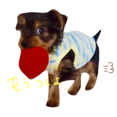 AYANO_20190928125123