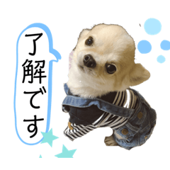 nozomi_20190928184045