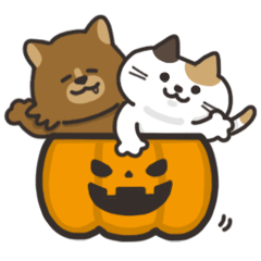 Cute cats in Halloween
