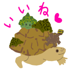 fun fun turtle
