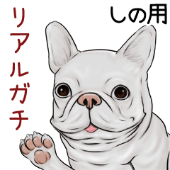 Shino Real Gachi Pug & Bulldog