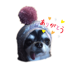 yuyu_20191002084740