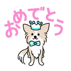 Bianca's milkteacolor chihuahua Sticker