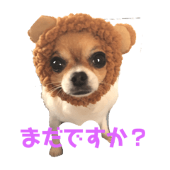 nozomi_20190927235712