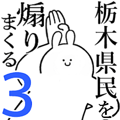 Rabbits feeding3[TOCHIGI-KENMIN]