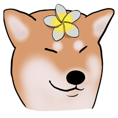 Shiba Inu Emoticon