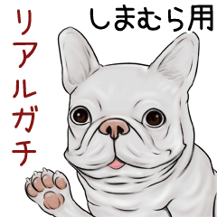 Shimamura Real Gachi Pug & Bulldog