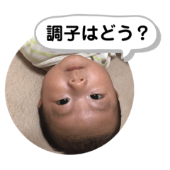 HARUTO_20190924185107