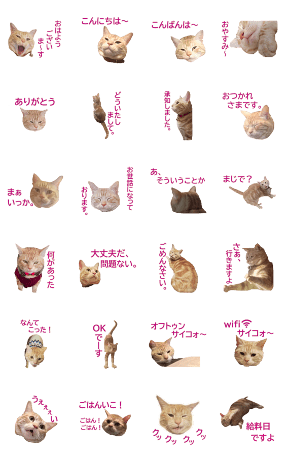 ねこのぽんたくん日常会話 第3弾 Lineクリエイターズスタンプ Stamplist